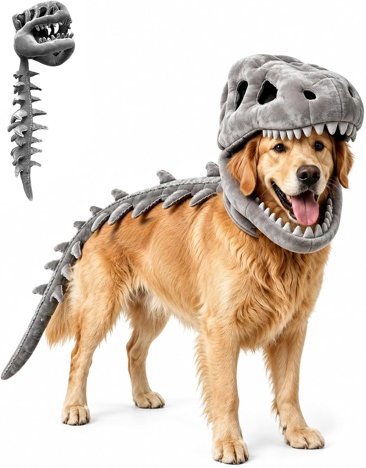 Disfraz de esqueleto de dinosaurio para perros